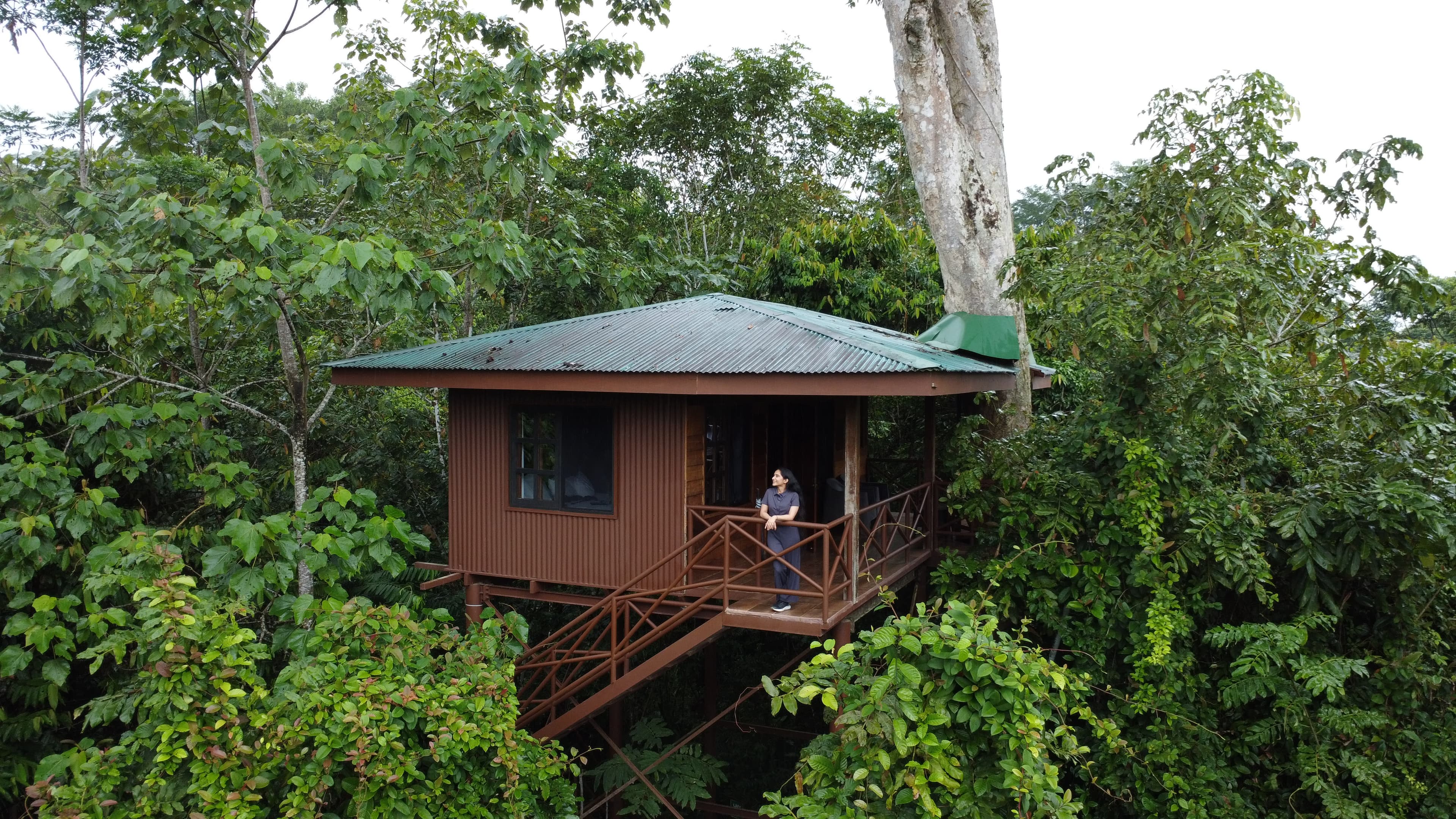 Rainforests, Diverse Wildlife, and Eco-Stays - Our 6-Day Costa Rica Road Trip Itinerary